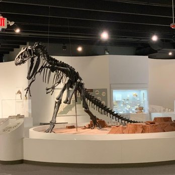 Panhandle-Plains Historical Museum - Museums Near Me - Canyon, Texas