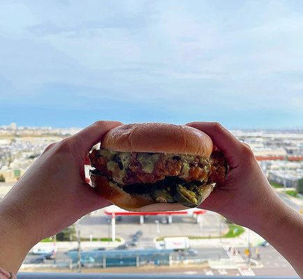 Juicy Birds Nashville Hot Chicken (Greektown) by null