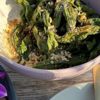 Vista - Shishito peppers, definite must - Bars Near Me - Hermosa Beach, California