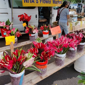 KCC Farmers' Market - So fresh! - Farmers Market Near Me - Honolulu, Hawaii