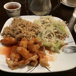 Dragon Inn Restaurant - Lunch special #9.