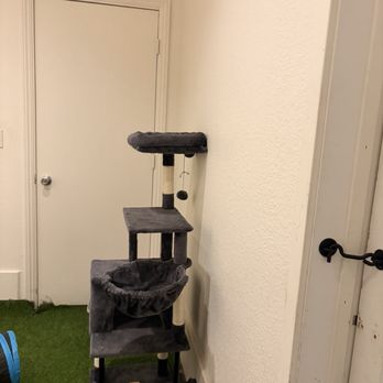 Z Pet Hotels - Interior - Pet Boarding Near Me - Las Vegas, Nevada Z Pet Hotels - Interior - Pet Boarding Near Me - Las Vegas, Nevada