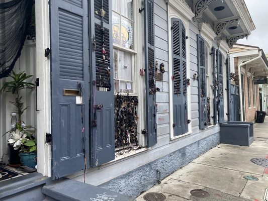 Nola Tour Guy by null