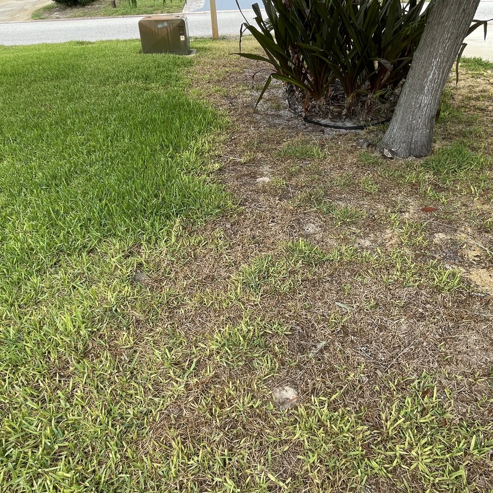 Toucan Lawn Care & Pest Control - Right down the property line. Guess which side is mine. - Lawn Services Near Me - Ormond Beach, Florida Toucan Lawn Care & Pest Control - Right down the property line. Guess which side is mine. - Lawn Services Near Me - Ormond Beach, Florida