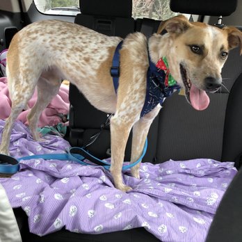 Petco - Pet Stores Near Me - Davis, California