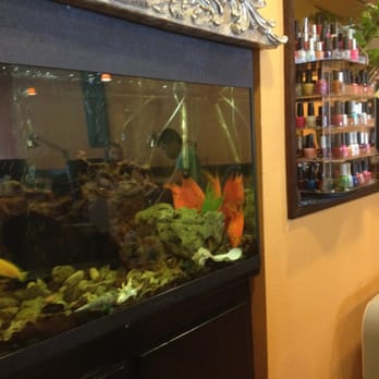 Great Nails & Spa - Zoning out to fish. - Nail Salons Near Me - Austin, Texas