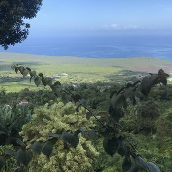 The Coffee Shack - Coffee & Tea Near Me - Captain Cook, Hawaii
