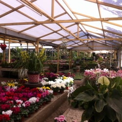 Vivero Santa Rosa