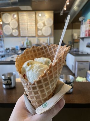 Sweet Cow by null
