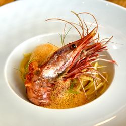 Ella Dining Room and Bar - Dry Roasted California Spot Prawn