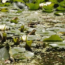 Le Jardin Naturel