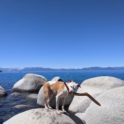 Secret Cove