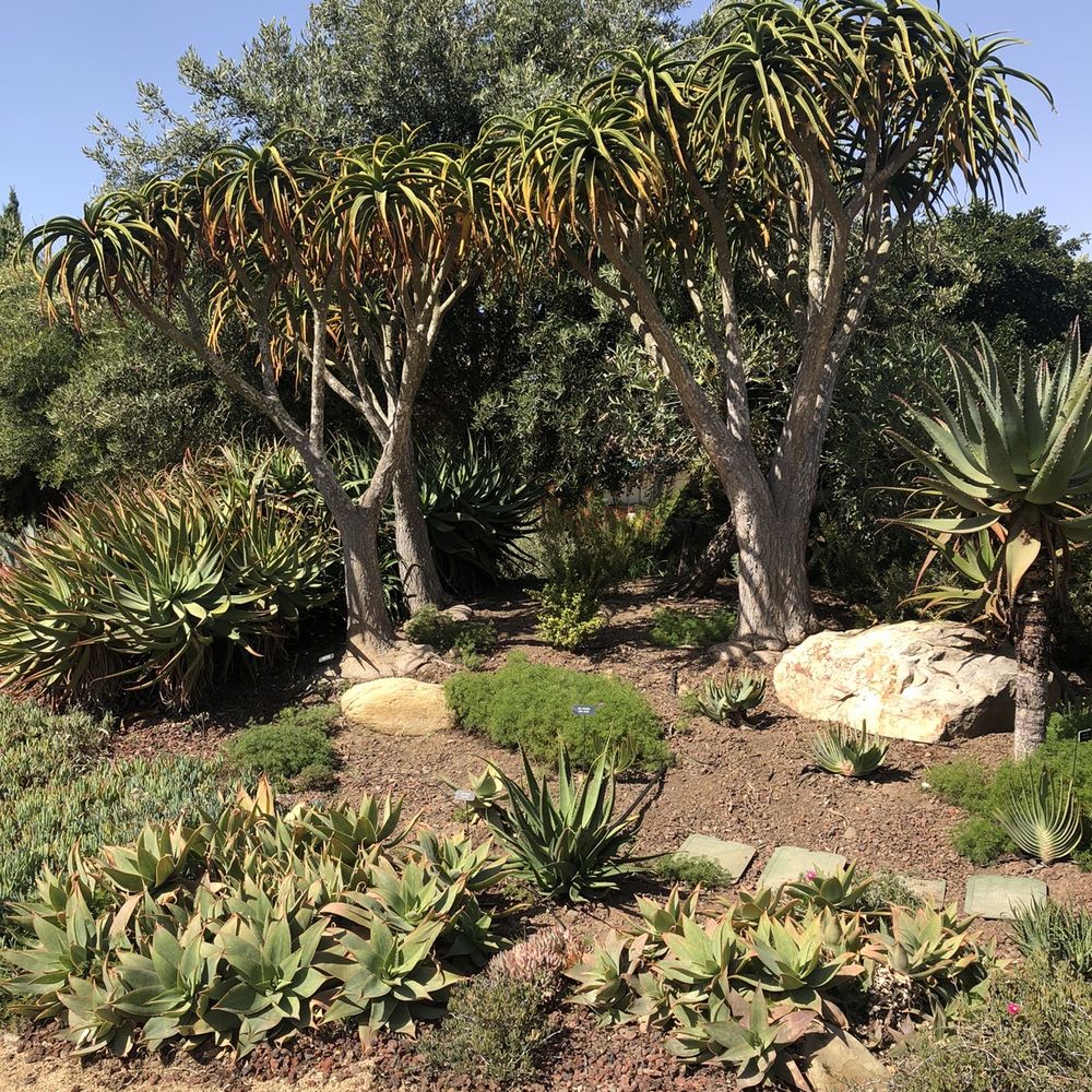 Seaside Gardens - Nurseries & Gardening Near Me - Carpinteria, California