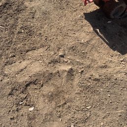 Top of the dirt
