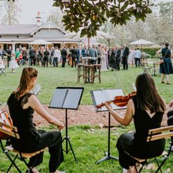 Northside Brass - Meet the String Quartet