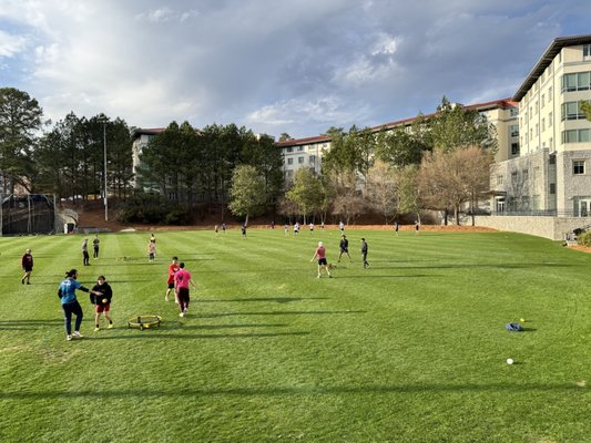 Emory University by null