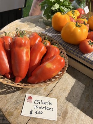 Shelburne Farms by null