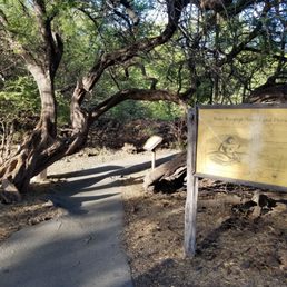 Entrance to glyph