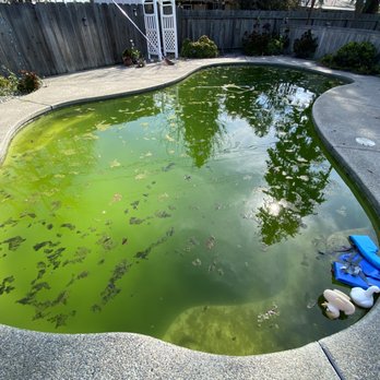 Blue Diamond Pool Care - Before chlorine wash. 

Call us today to get started! - Pool Cleaners Near Me