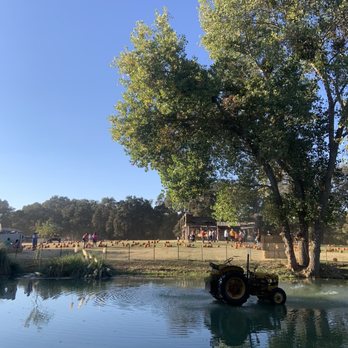 Fog Willow Farms - Attraction Farms Near Me - Wilton, California Fog Willow Farms - Attraction Farms Near Me - Wilton, California