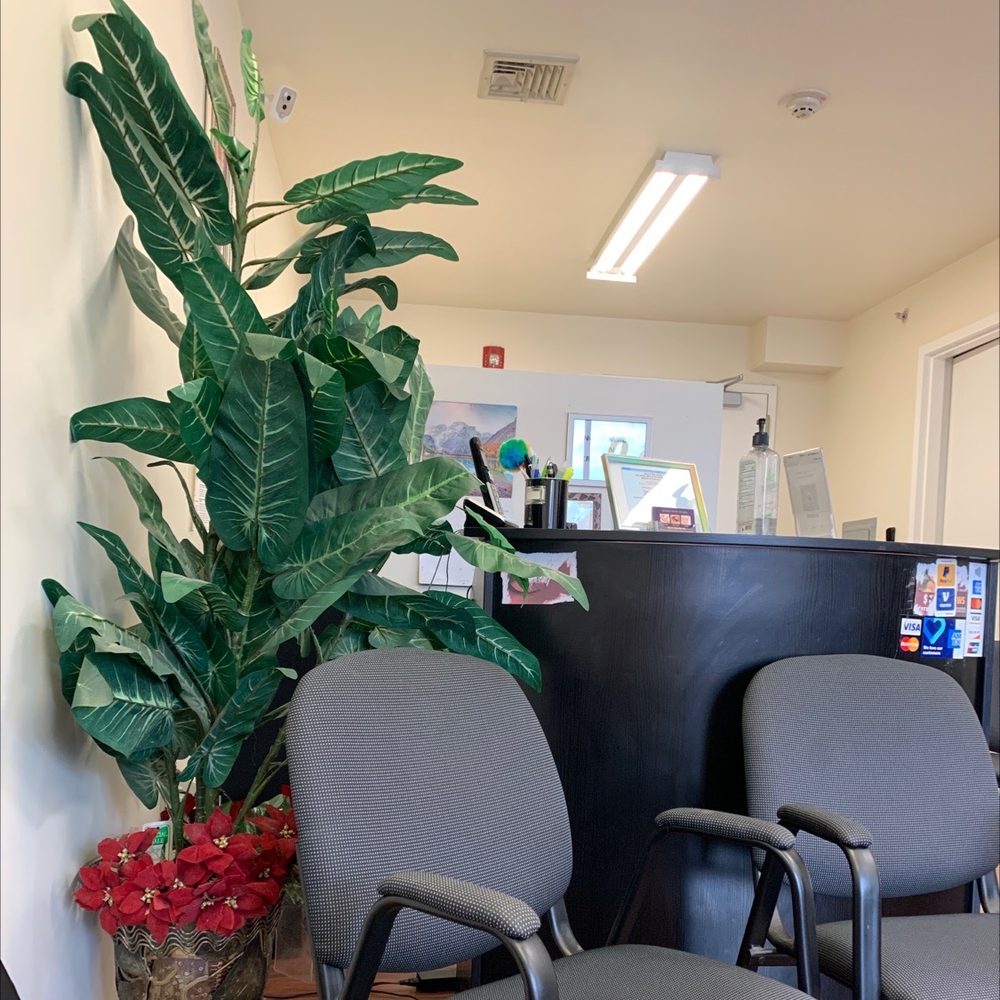 SHAPES BROW STUDIO Updated September 2024 327 Union Blvd, Totowa