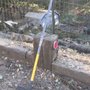 Sierra Mountain Tree Service