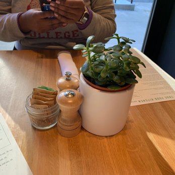 True Food Kitchen - Succulents for table decor - New American Near Me - Chicago, Illinois True Food Kitchen - Succulents for table decor - New American Near Me - Chicago, Illinois