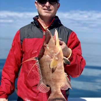 Grande Tarpon Charters - Fantastic eating Hogfish! - Fishing Near Me - Holmes Beach, Florida