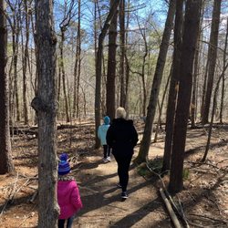 Bent Creek Experimental Forest