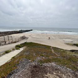 Border Field State Park