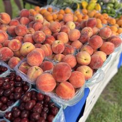 Boyne City Farmers Market