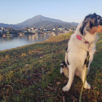 AlphaDog Lodging - Pet Groomers Near Me - Mill Valley, California