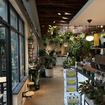 Vault + Vine - Flowers & Gifts Near Me - Philadelphia, Pennsylvania Vault + Vine - Flowers & Gifts Near Me - Philadelphia, Pennsylvania