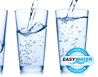 Slide of Project Services