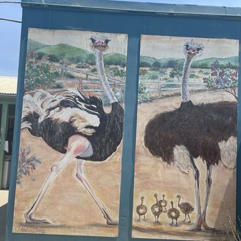 Ostrichland USA - Attraction Farms Near Me - Solvang, California Ostrichland USA - Attraction Farms Near Me - Solvang, California