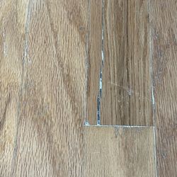 Euro Restorations - Our wood floors after the painting job by Euro Painting