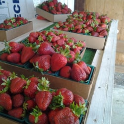 Lee's Berries