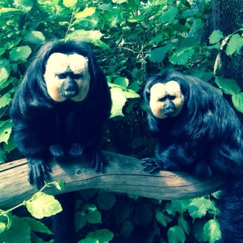 Vogelpark Marlow - Parks Near Me - Marlow, MV