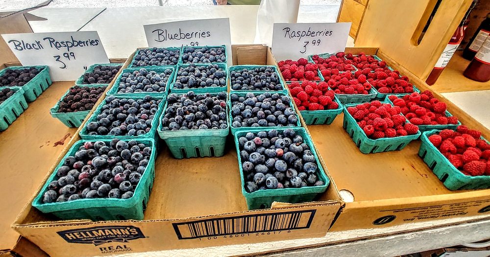 JAESCHKE FRUIT & FLOWERS CENTER Updated September 2024 736 Crane Ave, Pittsfield