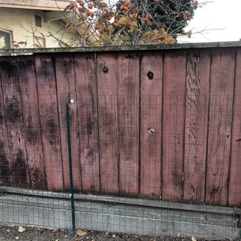 Agellon Fence Restoration - BEFORE (rear):  the foundation (mason blocks & rebar) was still strong (thankfully) but the wood was toast. Held up with chicken wire, etc - Fences & Gates Near Me - Livermore, California