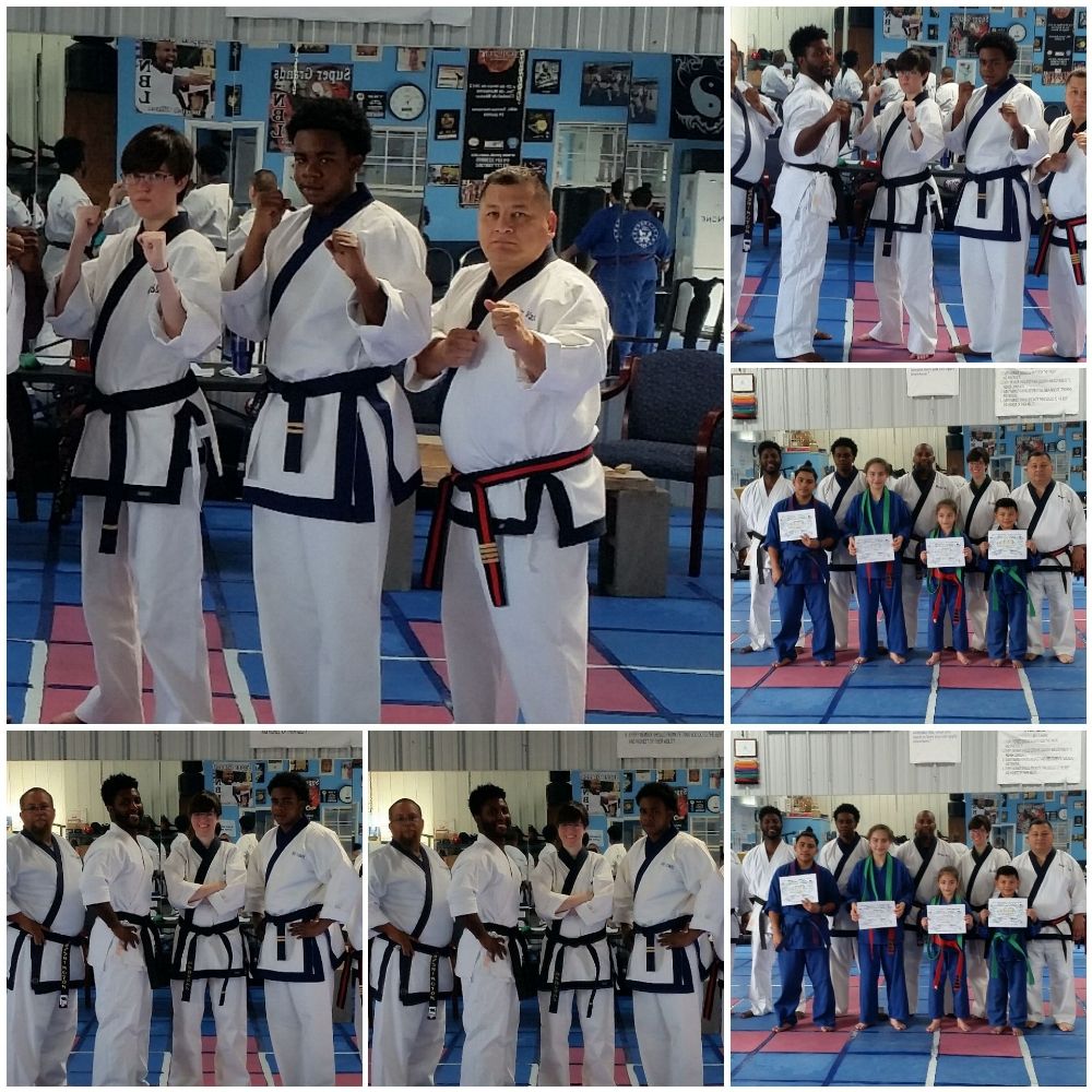 Wilson Karate Academy Logo