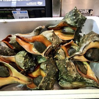 H Mart - Ridgefield - Live conch! - Grocery Near Me - Ridgefield, New Jersey H Mart - Ridgefield - Live conch! - Grocery Near Me - Ridgefield, New Jersey