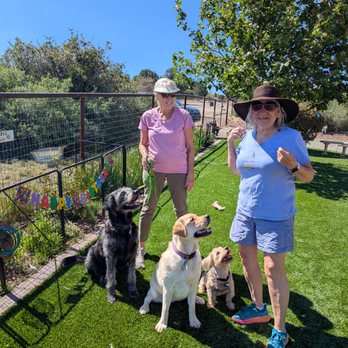 Granite Mountain Grooming and Training - Well trained pups
Boji, Sadie and Gus - Pet Training Near Me - Prescott, Arizona Granite Mountain Grooming and Training - Well trained pups
Boji, Sadie and Gus - Pet Training Near Me - Prescott, Arizona