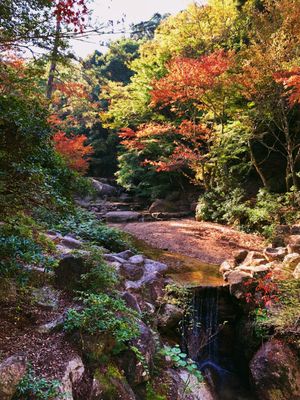 Momijidani Park by null