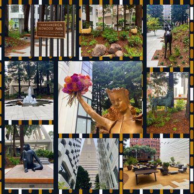 Transamerica Redwood Park by null