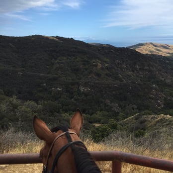 Circle Bar B Stables - A view from Splash - Horseback Riding Near Me - Santa Barbara, California