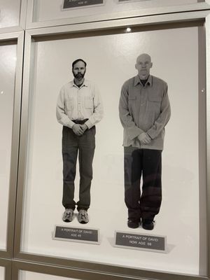 Appleton Museum of Art by null
