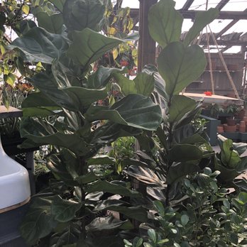 Estabrook's - Nurseries & Gardening Near Me - Yarmouth, Maine