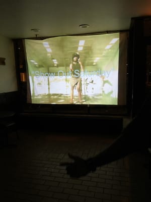 The Falcon Inn by null