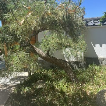 The Japanese Garden - Botanical Gardens Near Me - Van Nuys, California